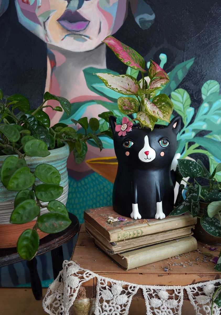 black cat planter pot Allen designs