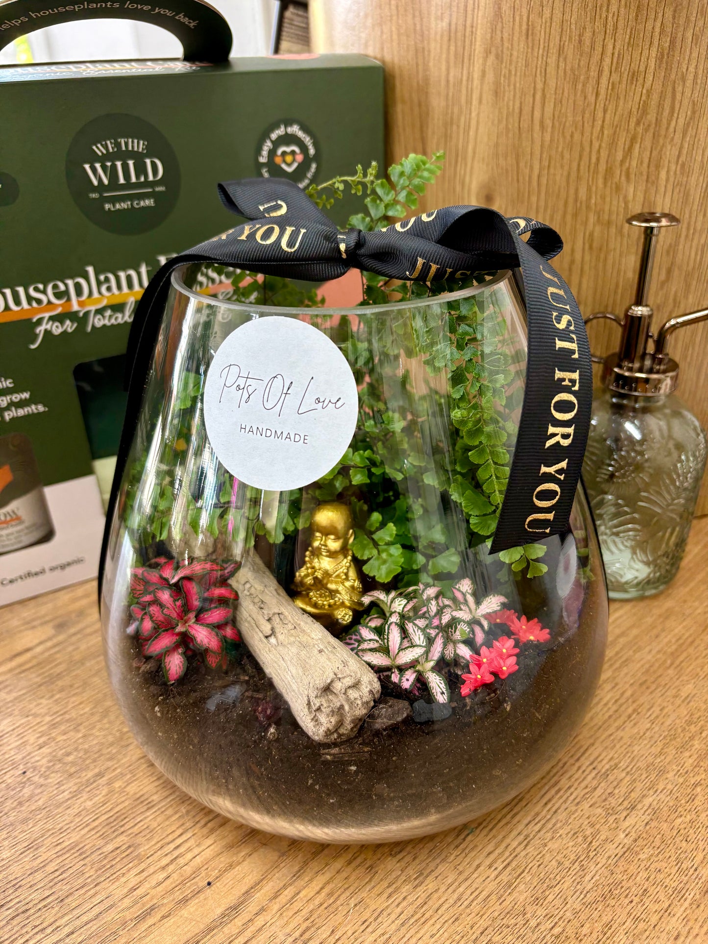 Buddha Terrarium