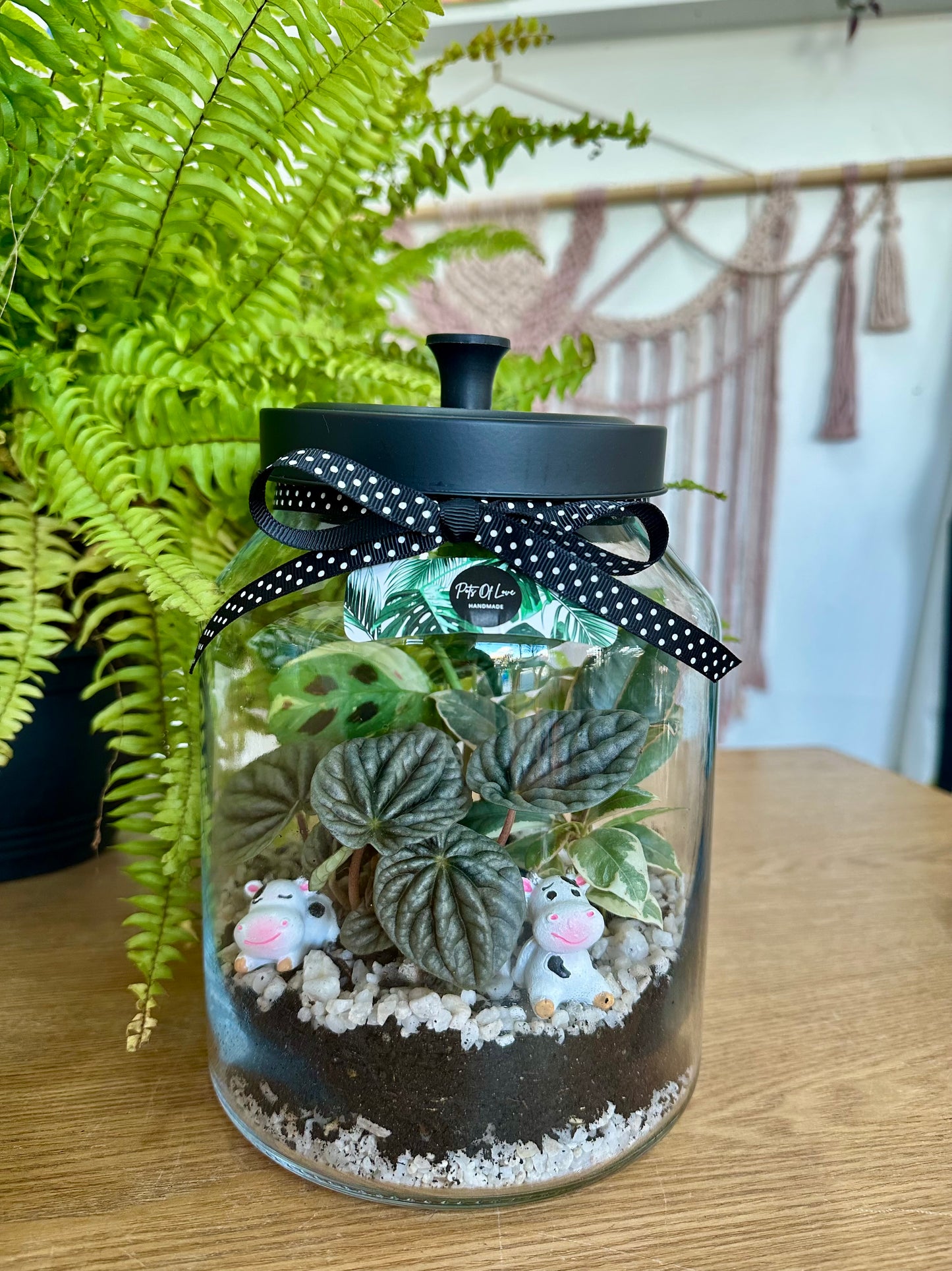 Cow Terrarium