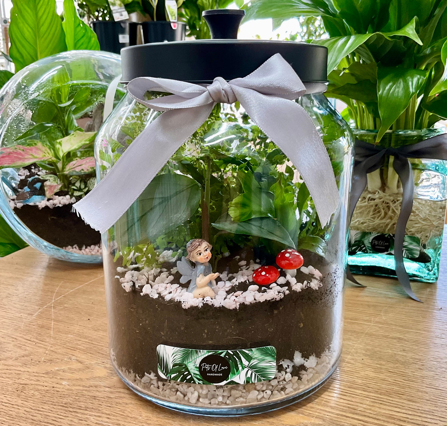 Maidenhair Feature Terrarium