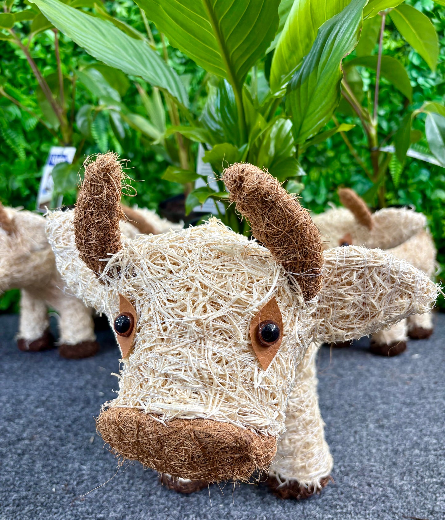 Husk Cow Planter