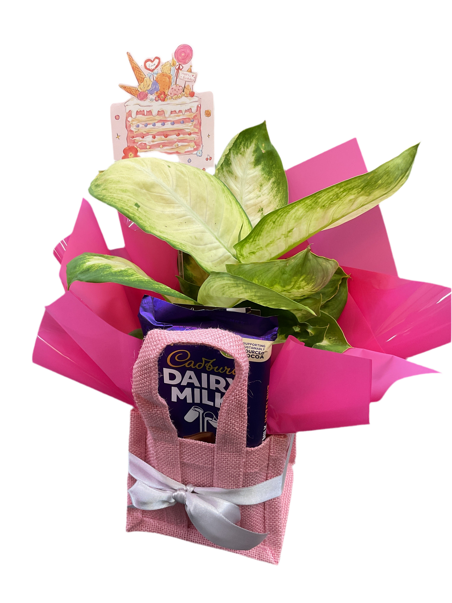 Plant + Choc - Mini Hamper
