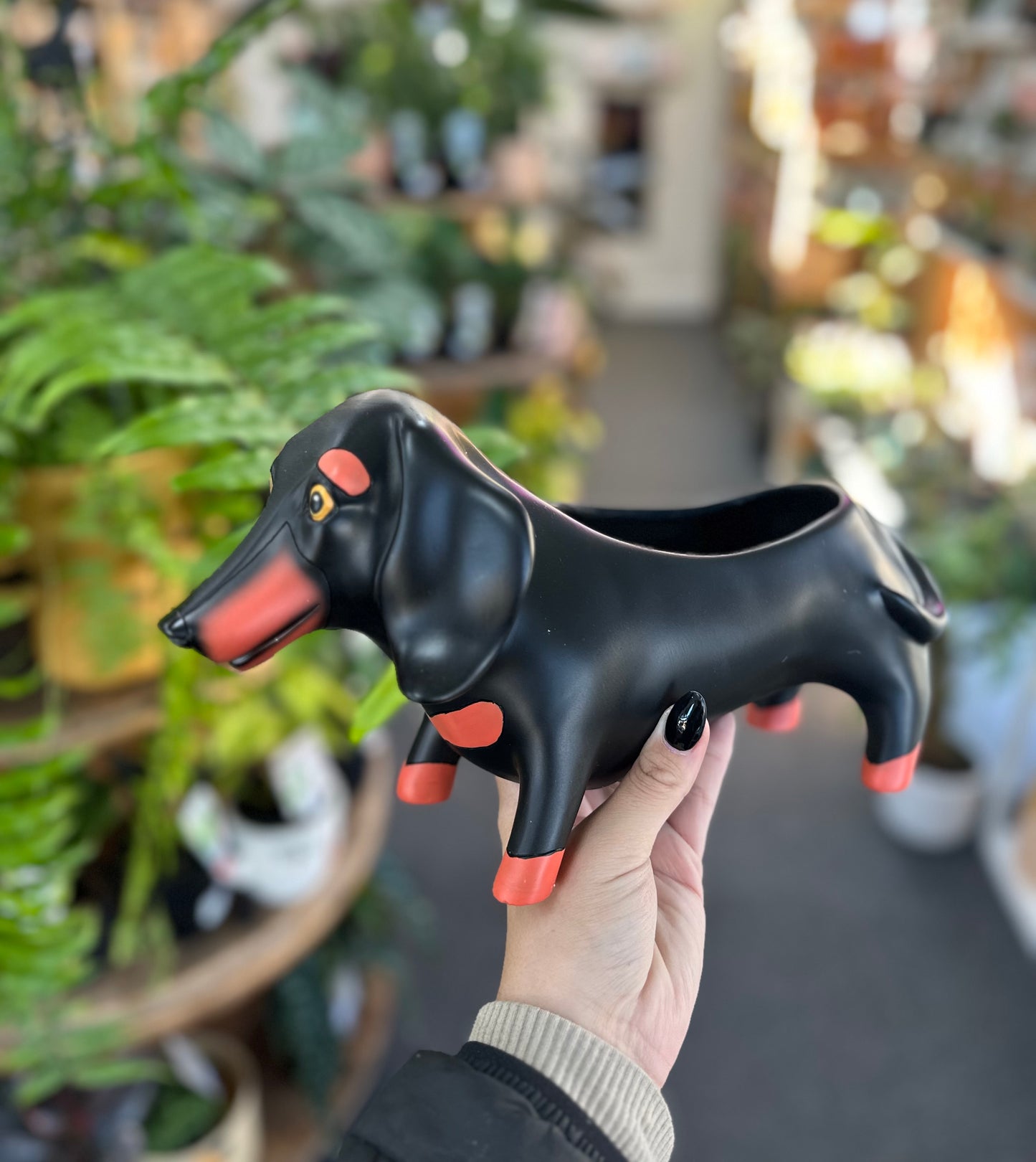 Allen Designs Planter - Black Dachshund