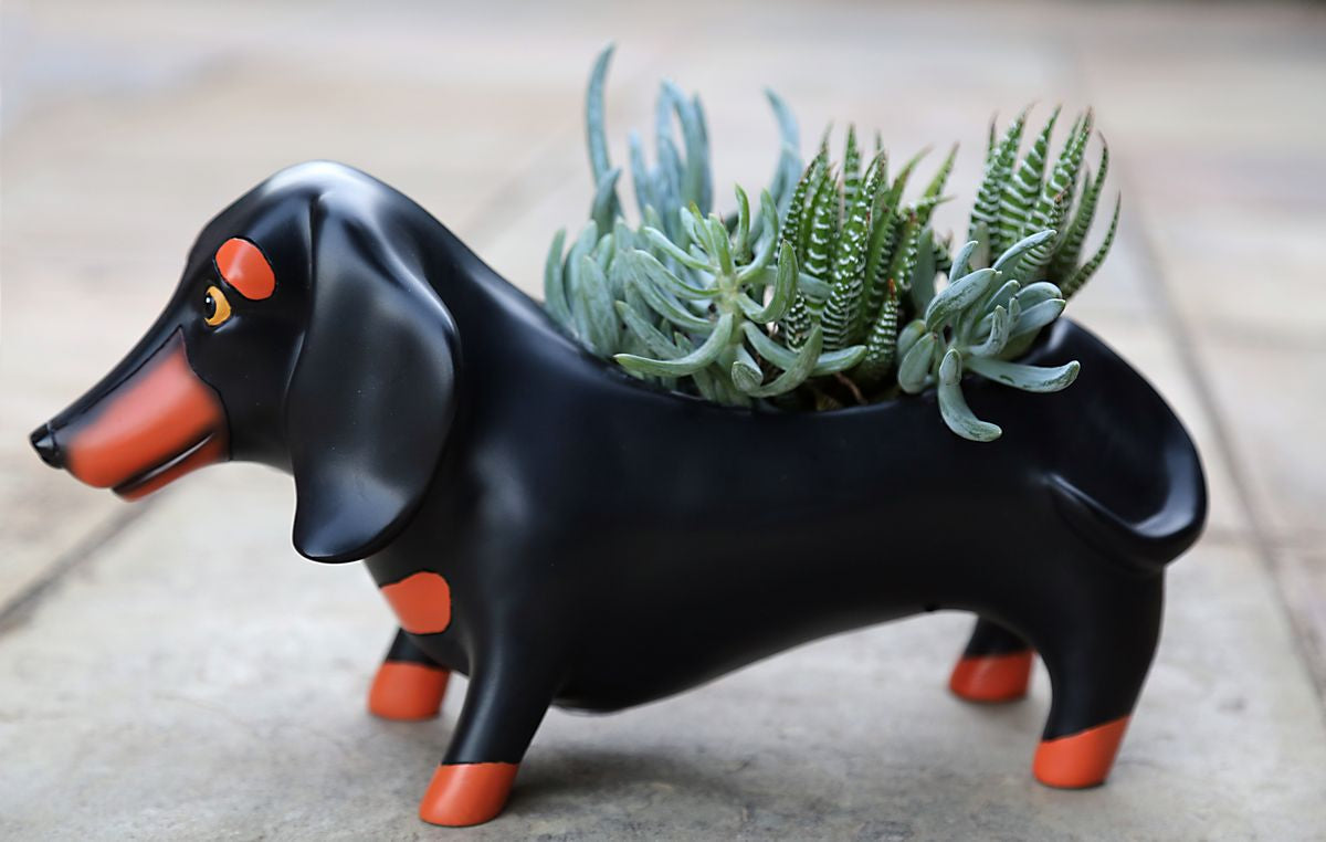 Allen Designs Planter - Black Dachshund