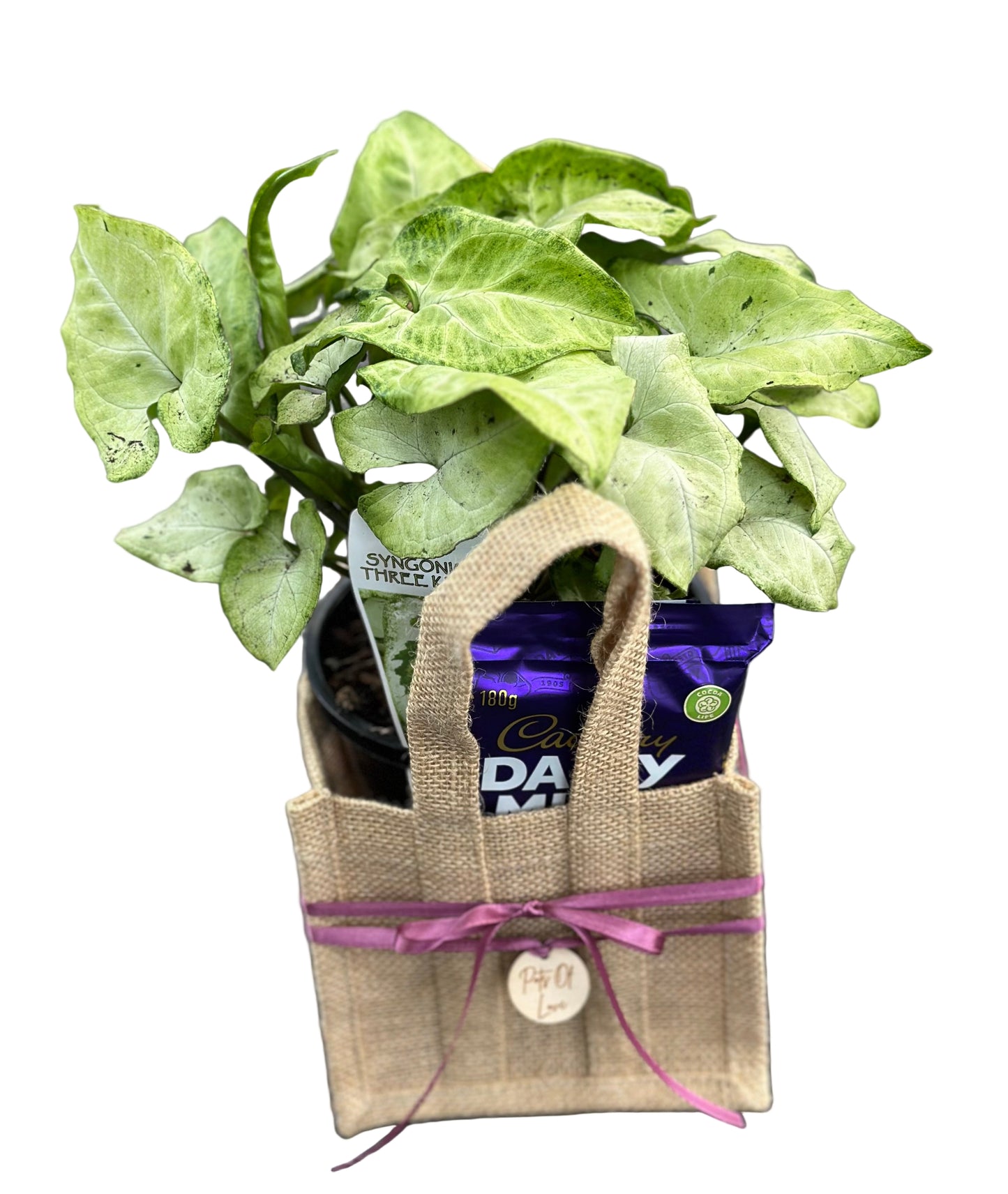 Plant + Choc - Mini Hessian Bag Hamper