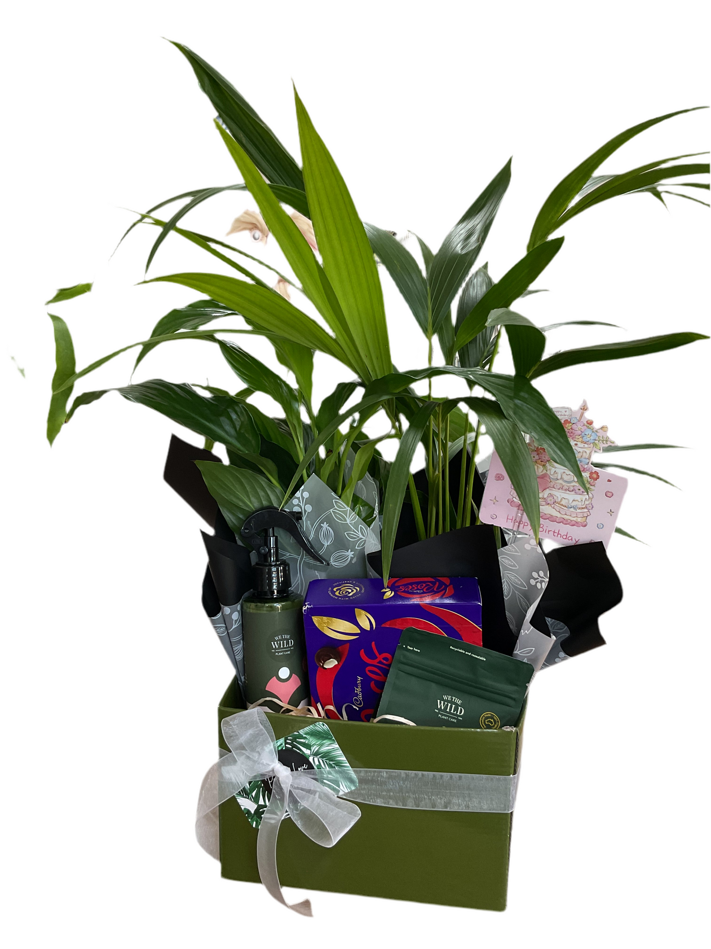 Plant hamper