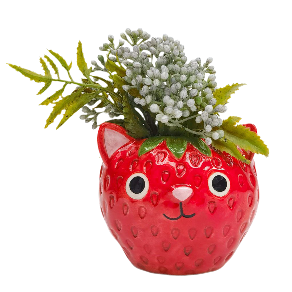 Strawberry Cat Planter