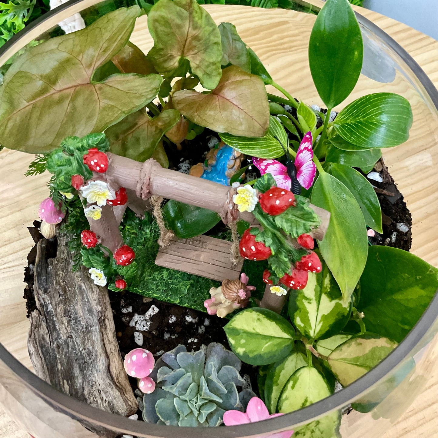 XL Fairy Swing Terrarium