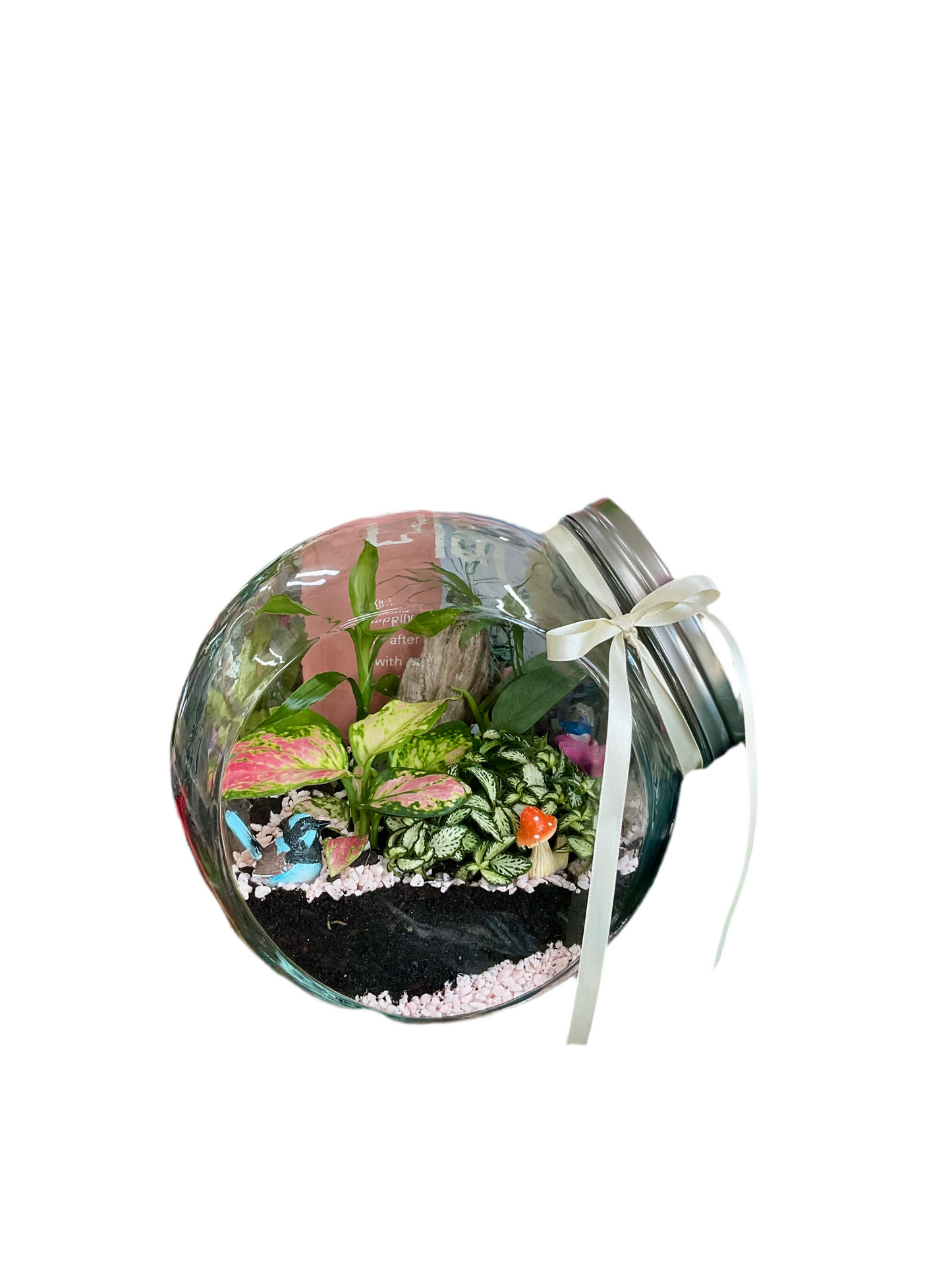 Blue Wren Terrarium