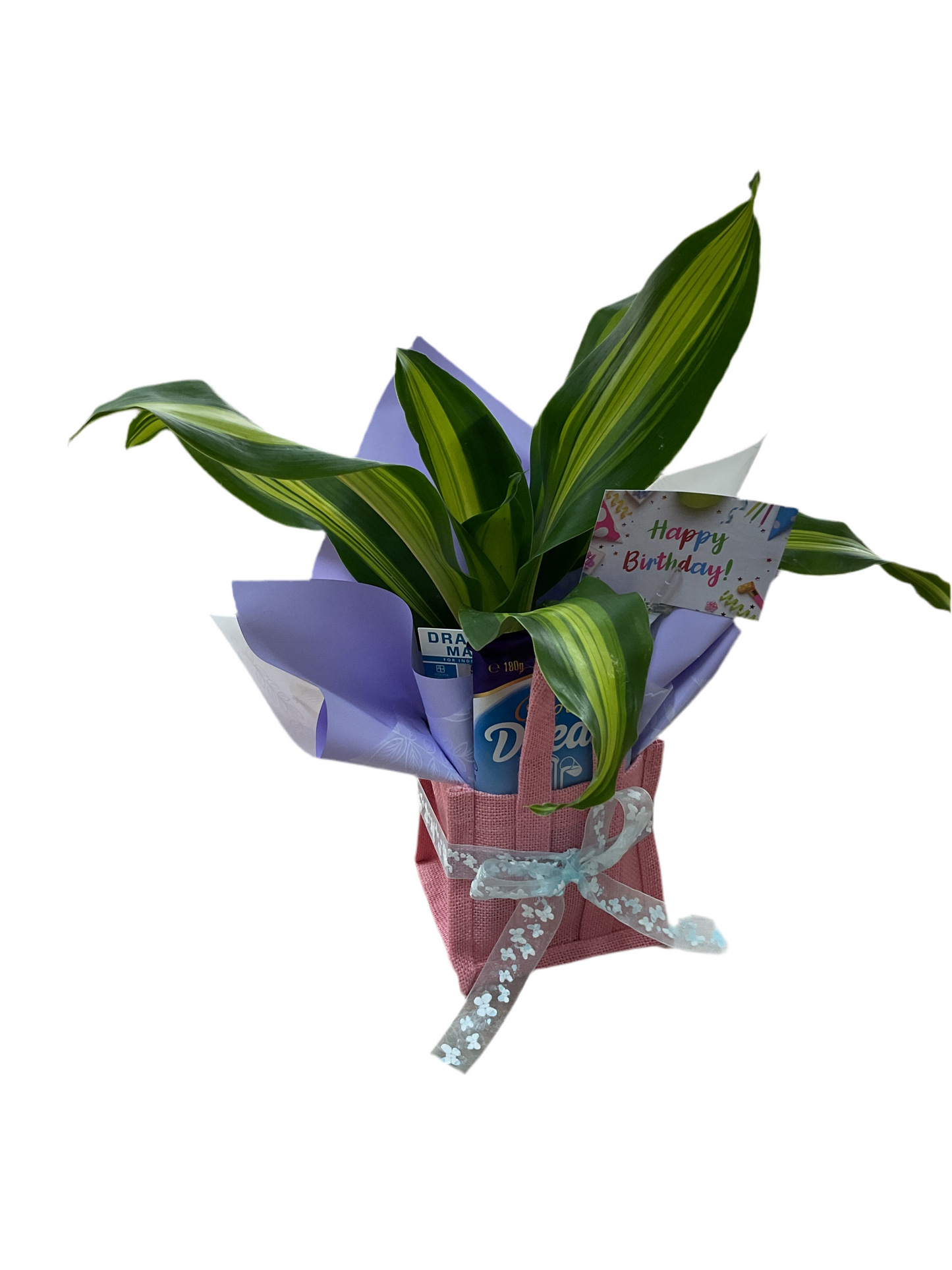 Plant + Choc - Mini Hamper