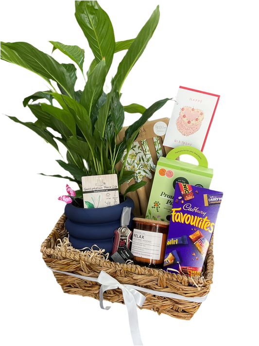 Deluxe plant parent Hamper