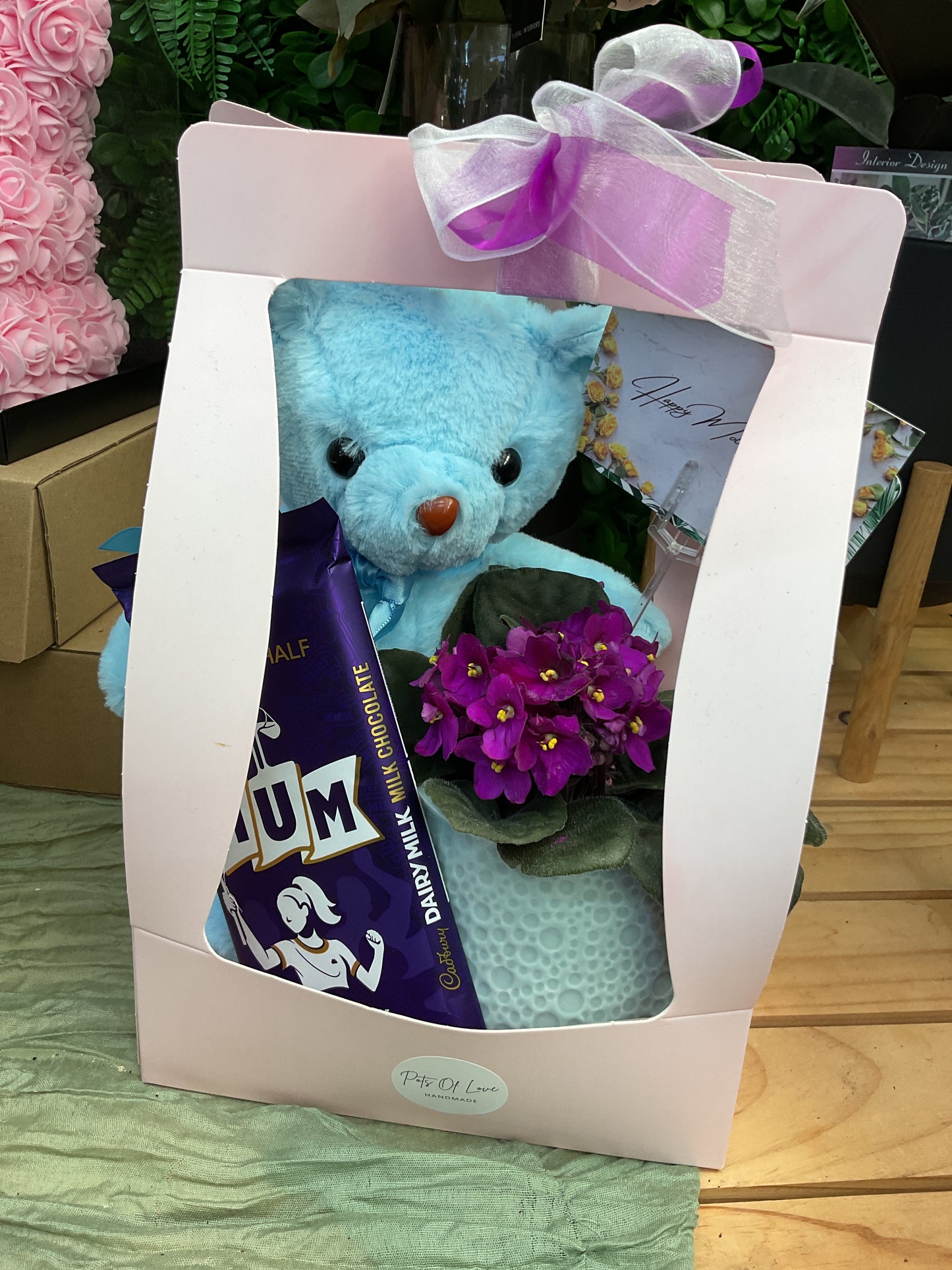 African Violet Mother’s Day Hamper