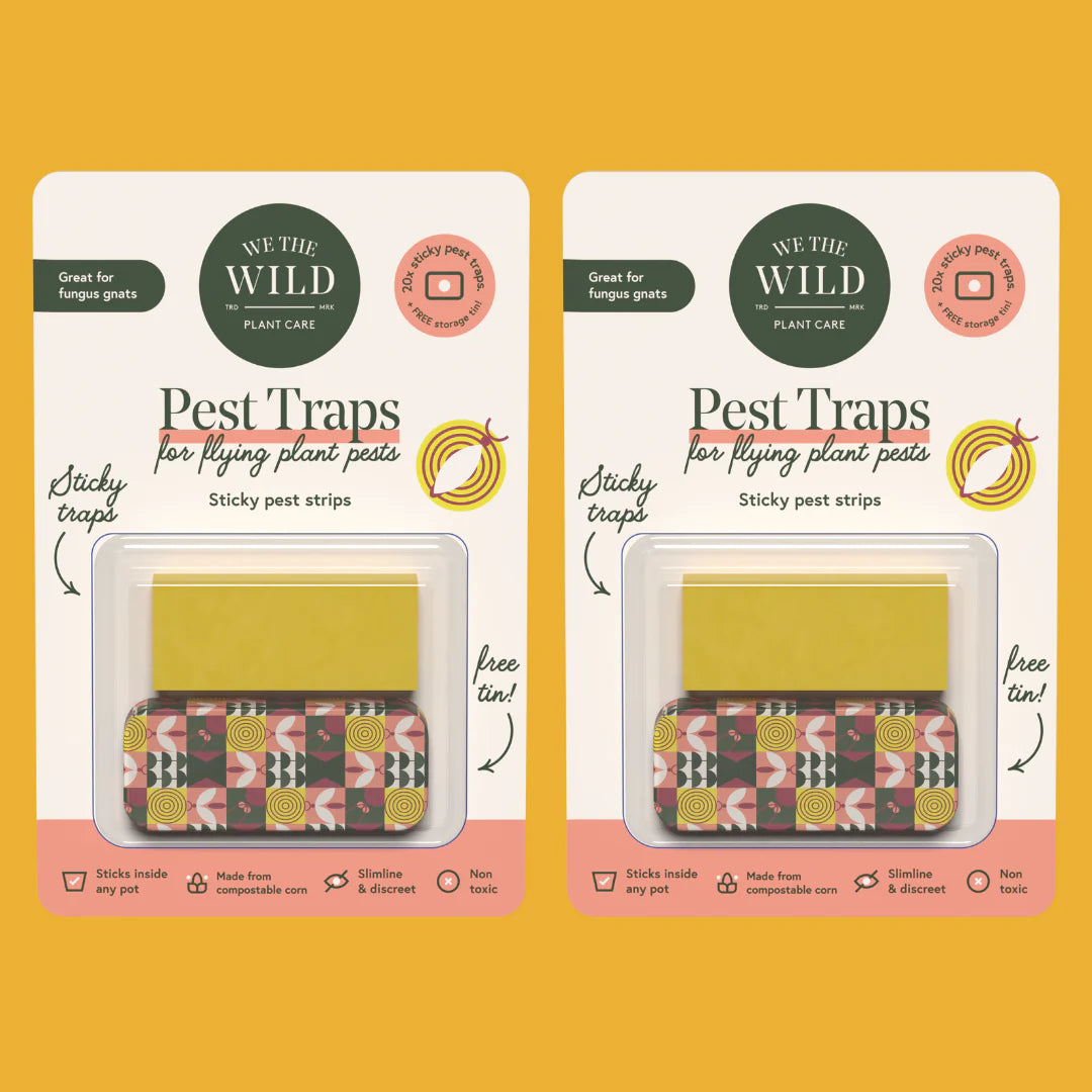 We The Wild - Compostable Gnat Trap
