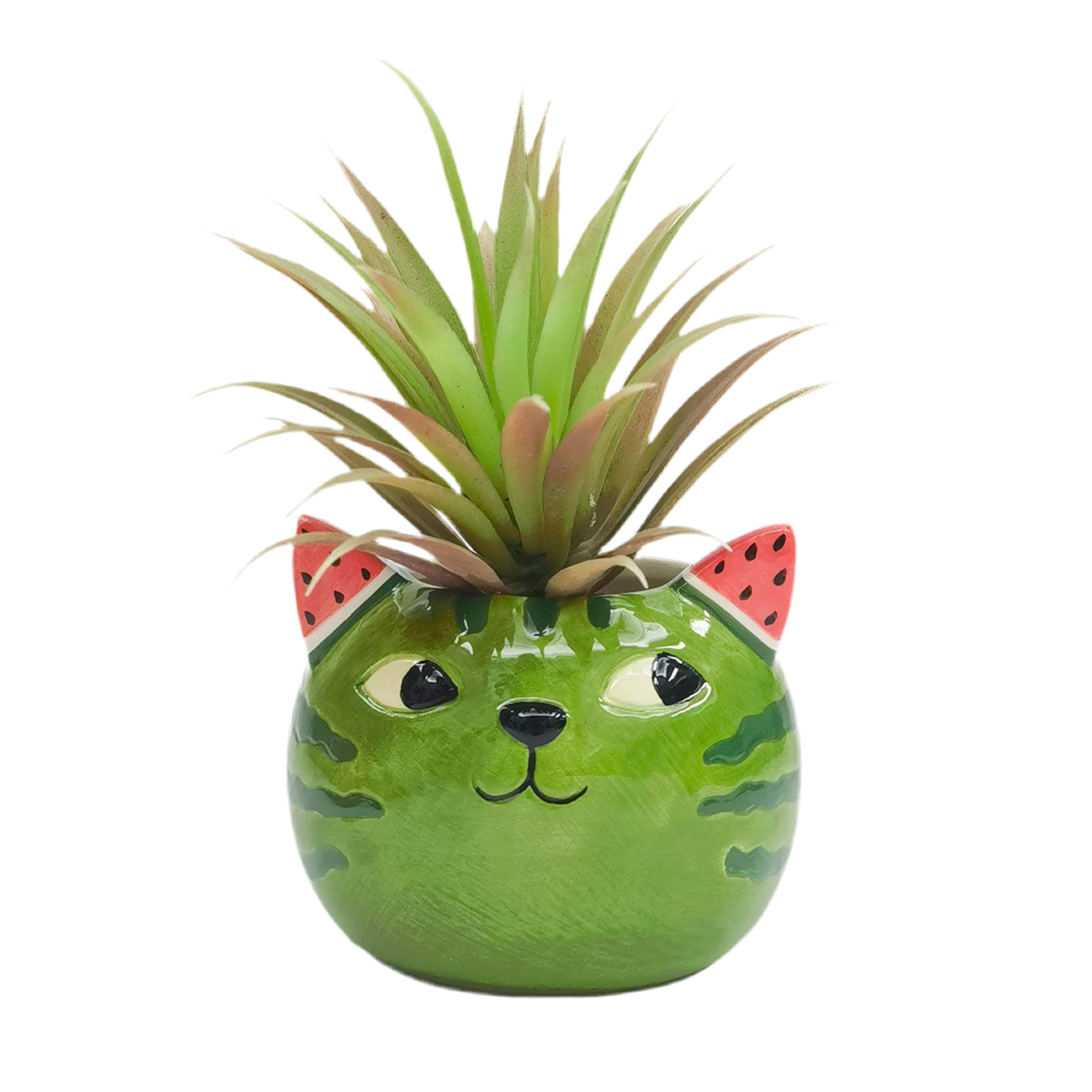 Watermelon Cat Mini Planter