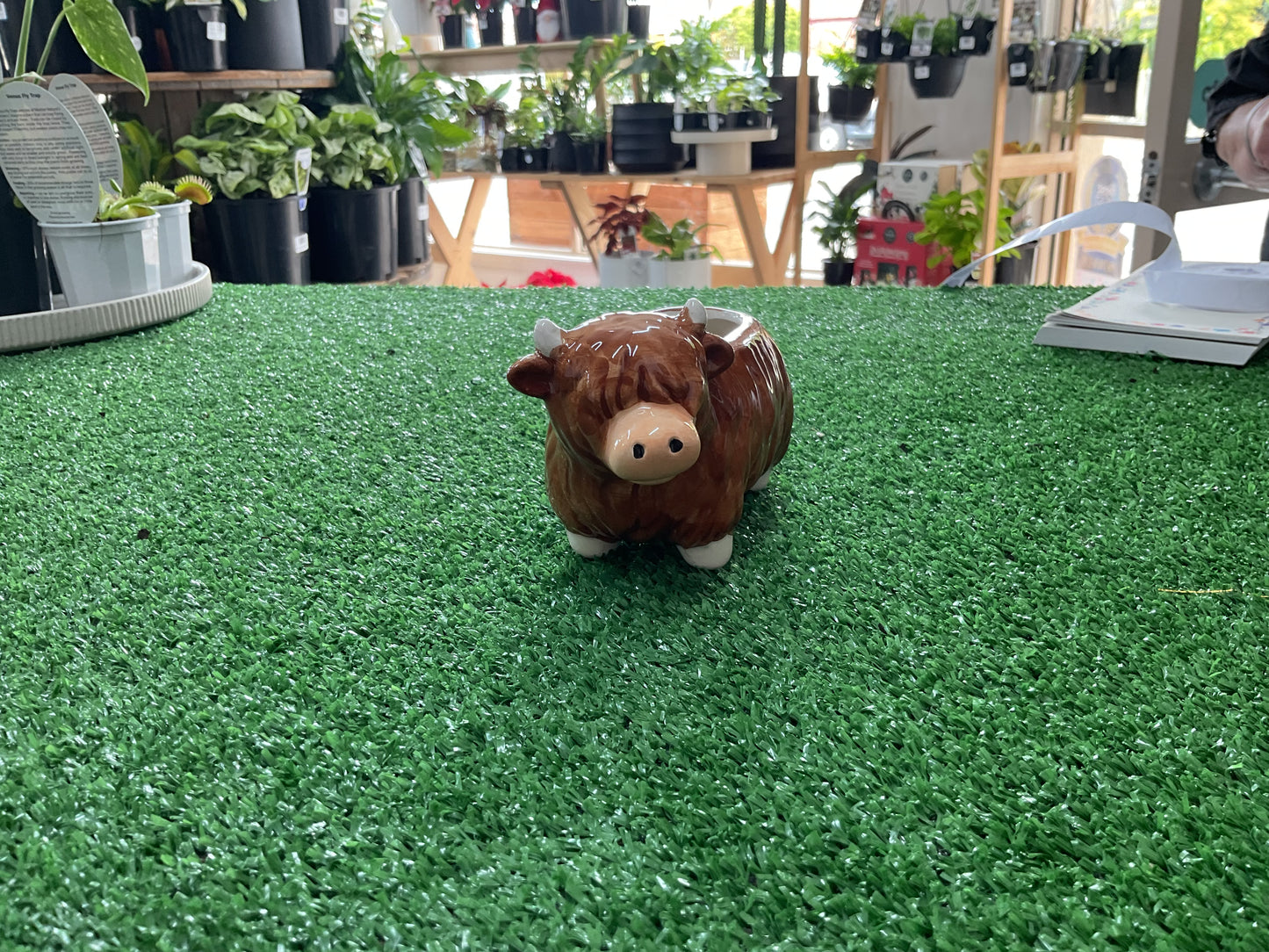 Highland Cow Planter