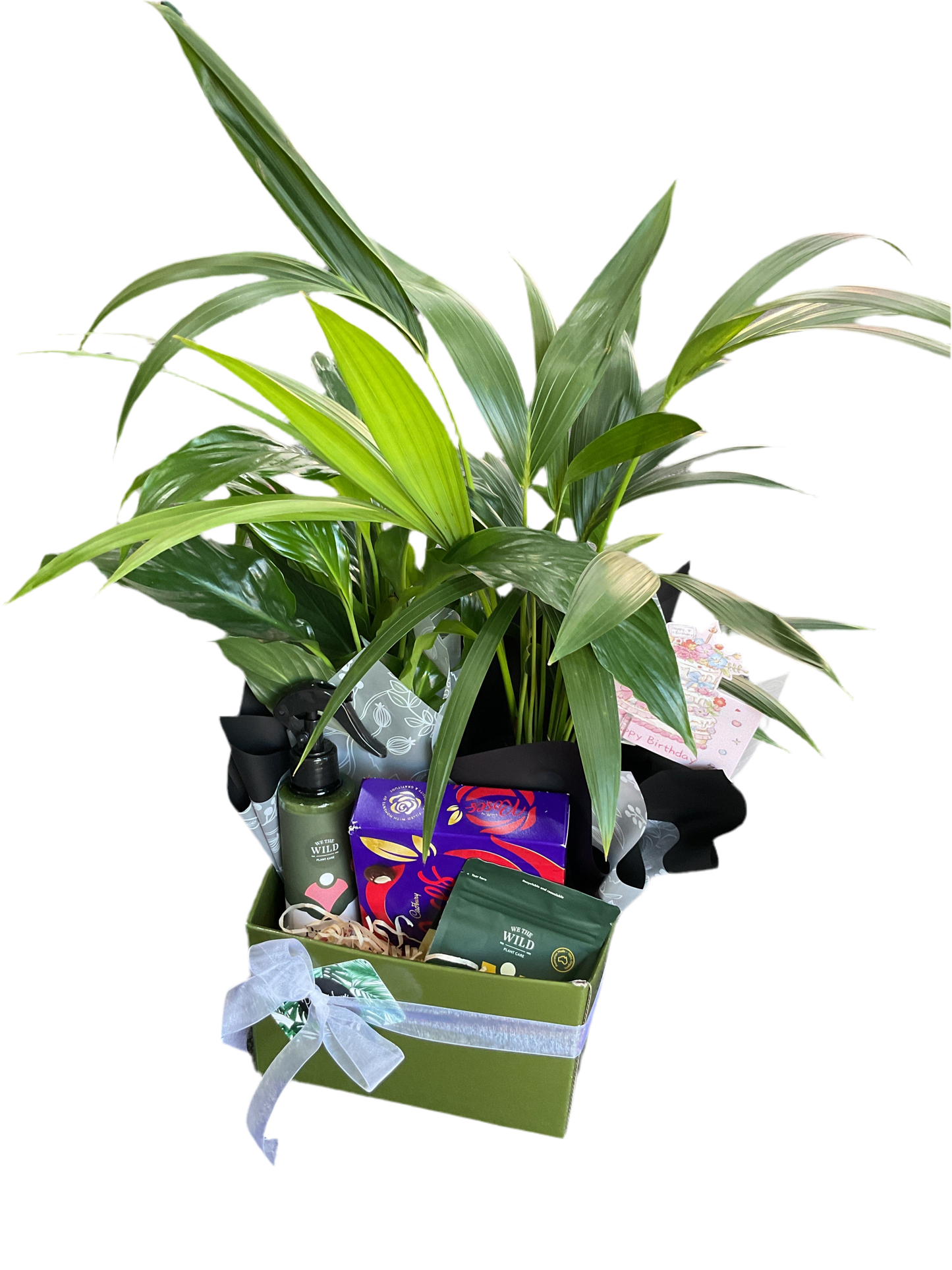 Plant hamper