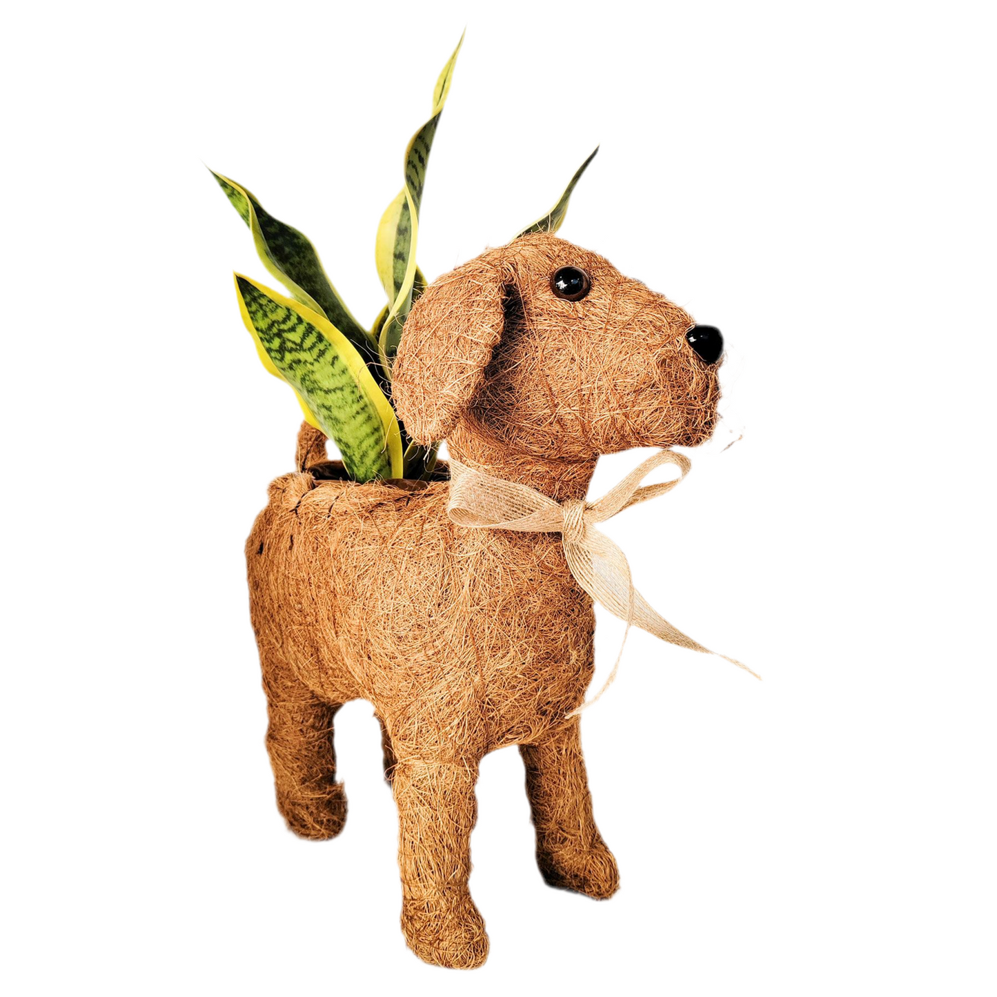 Husk Dog Planter