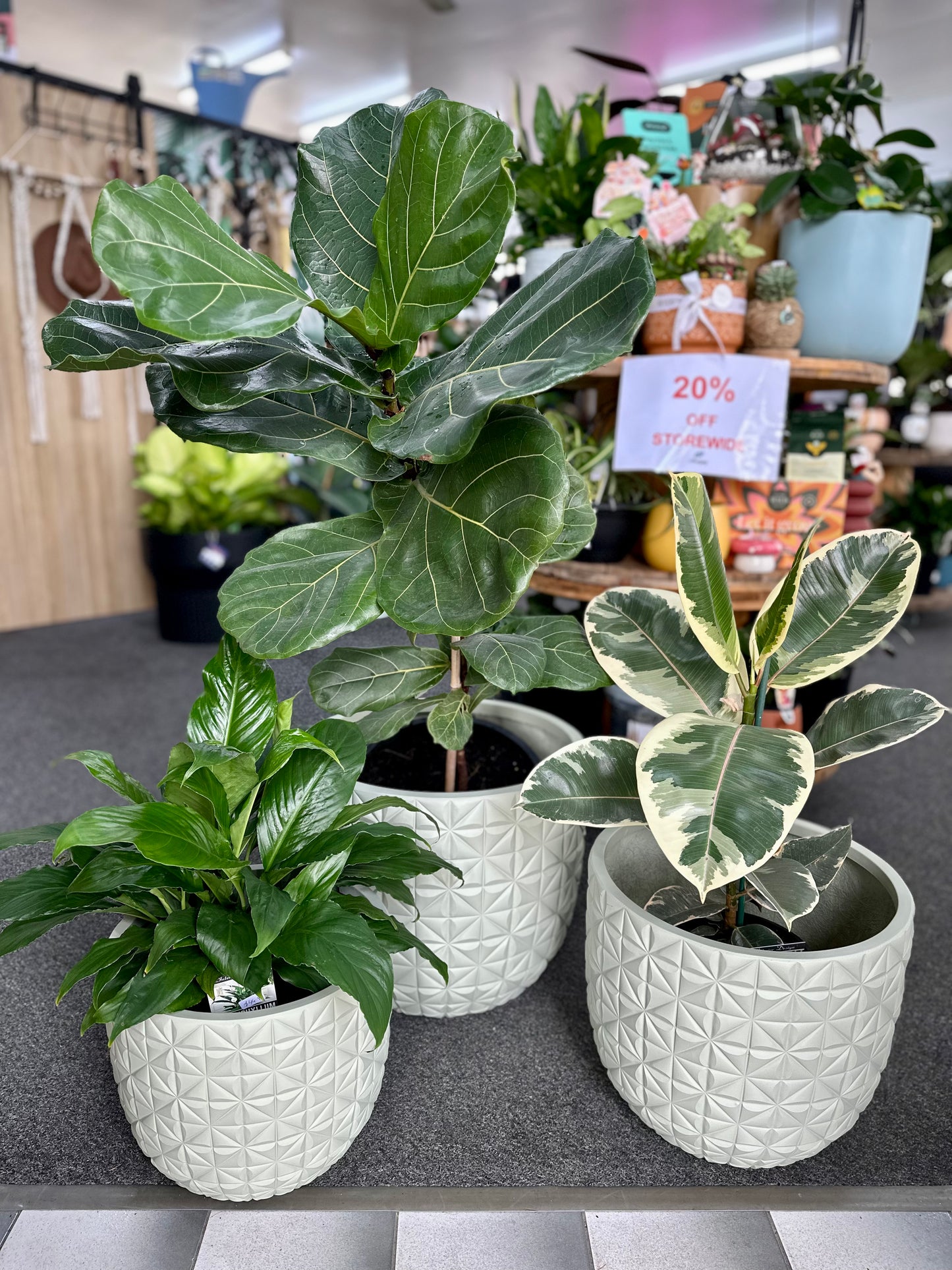 Flora Egg Planter - Mint