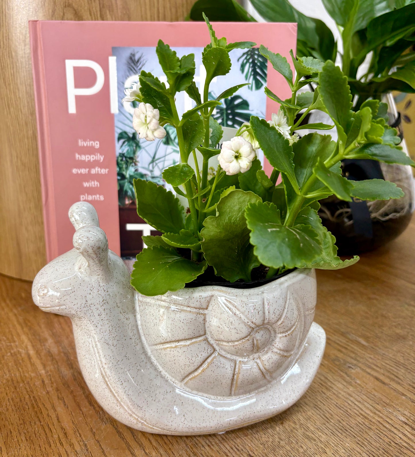 Snail Planter