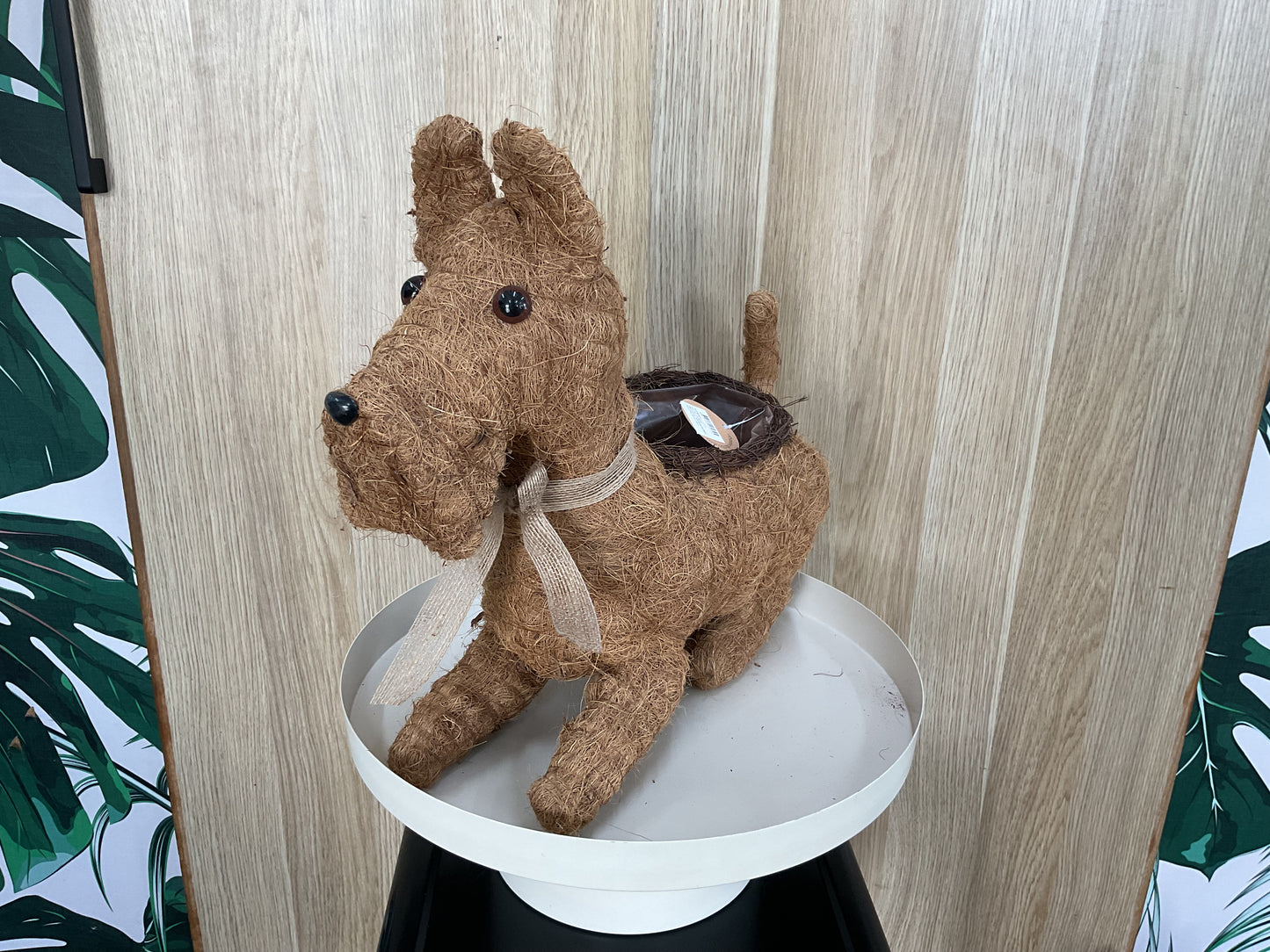 Scottie Dog Planter - Husk