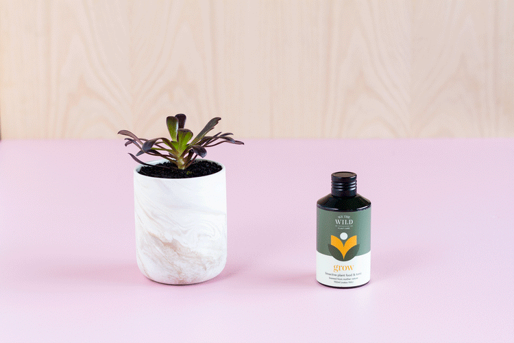 We the wild - Grow plant food & tonic