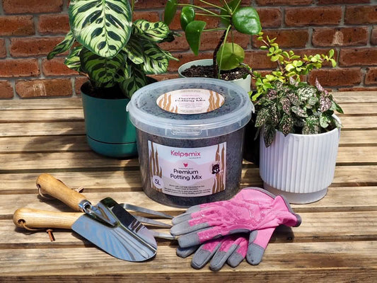 Kelpomix 5LPotting Mix - Locally Made