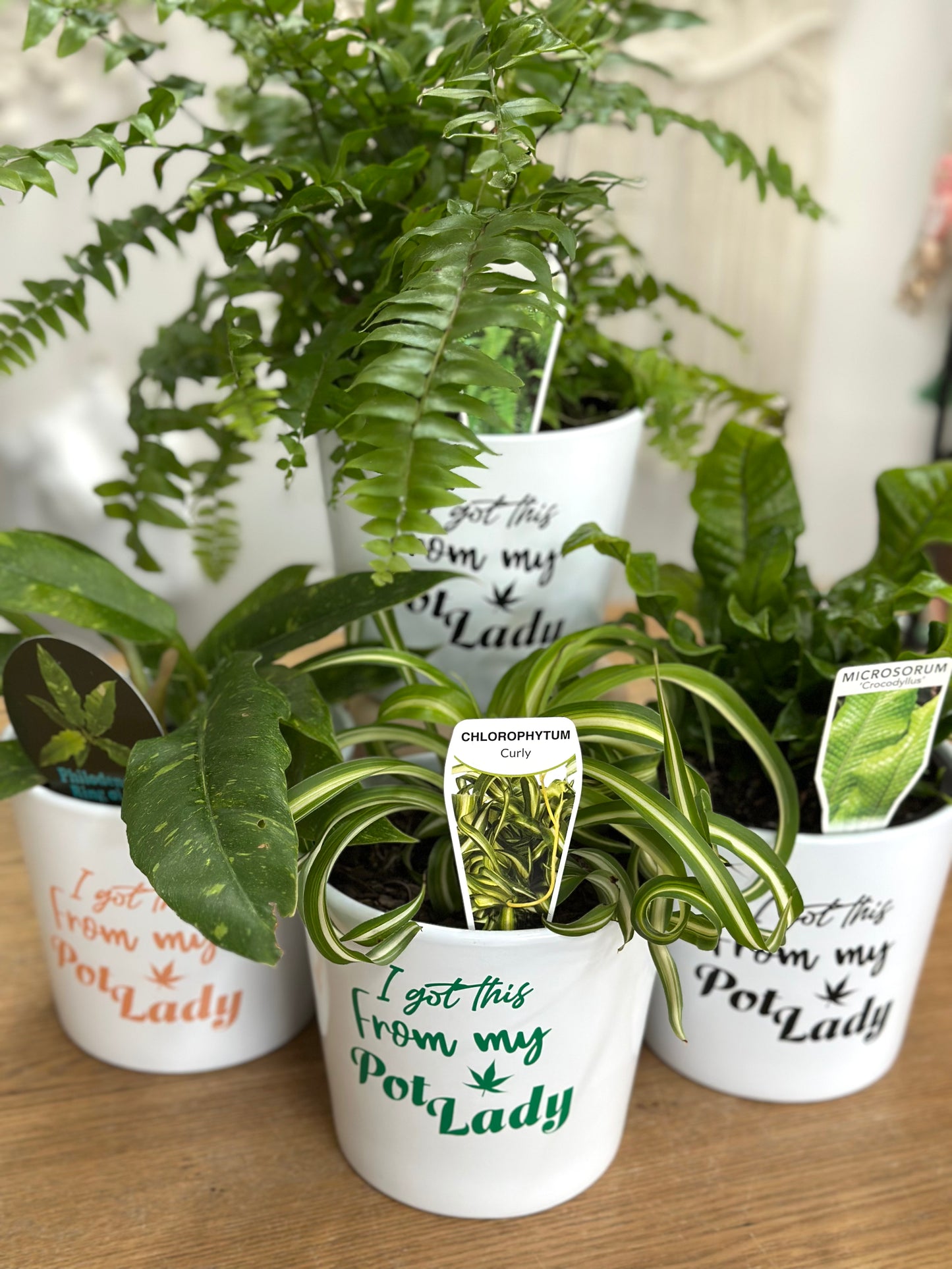 From your ‘pot lady’ planter