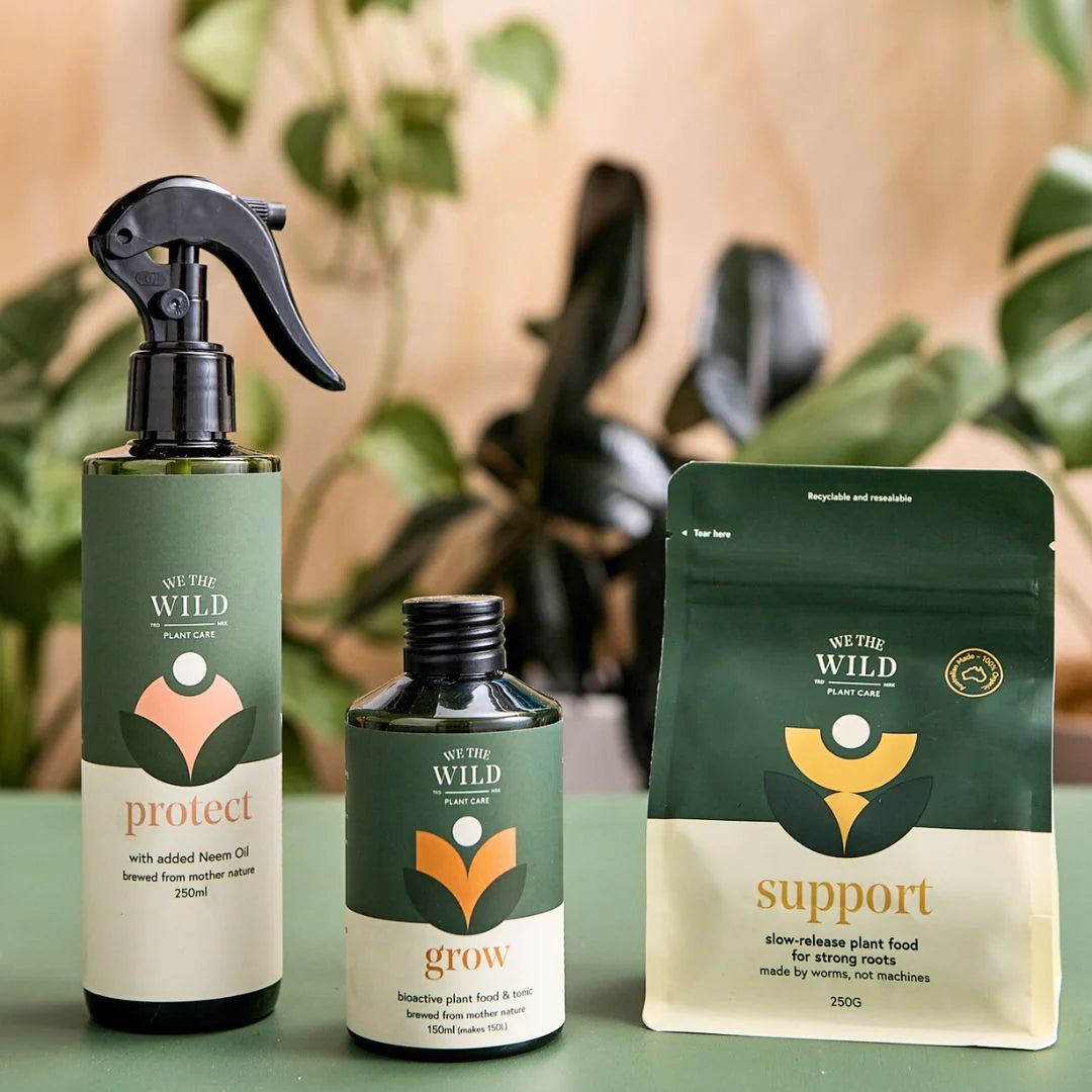 We The Wild Houseplant Care Essentials Kit