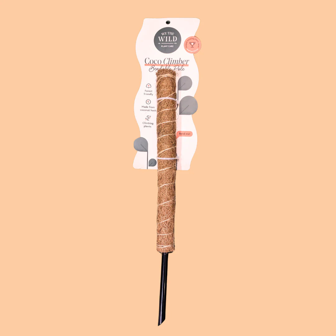 We The Wild - Coco Climber 16"