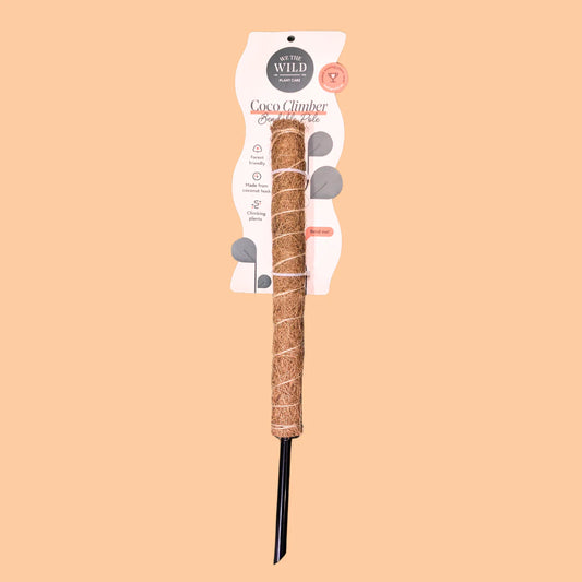 We The Wild - Coco Climber 16"