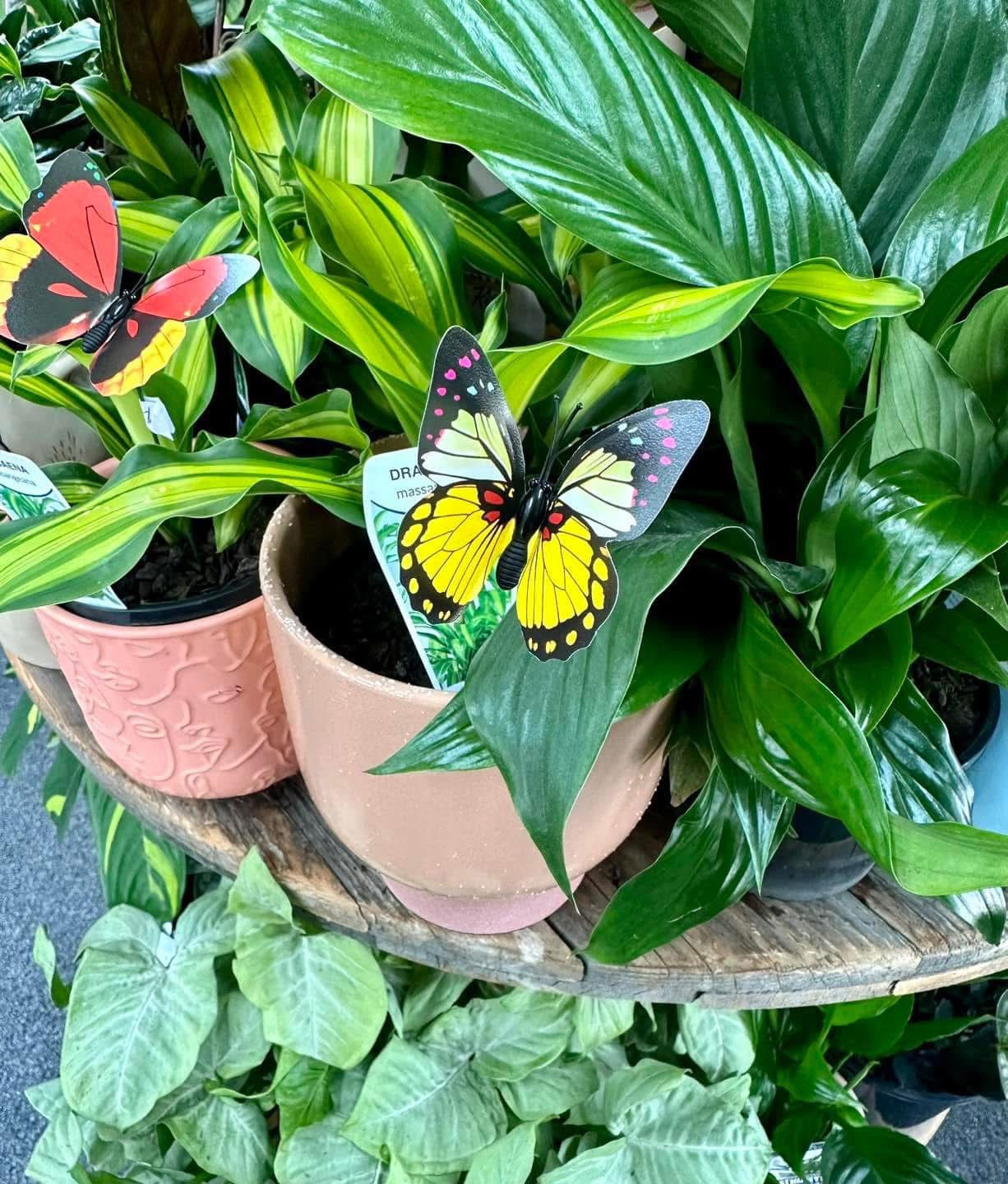 Butterfly Plant Stake