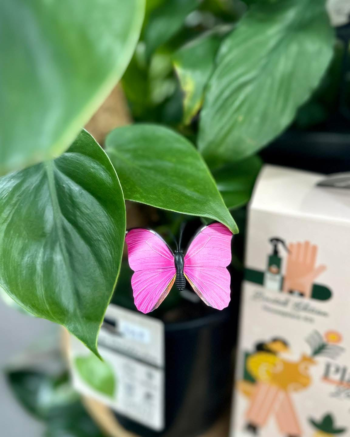 Butterfly Plant Stake