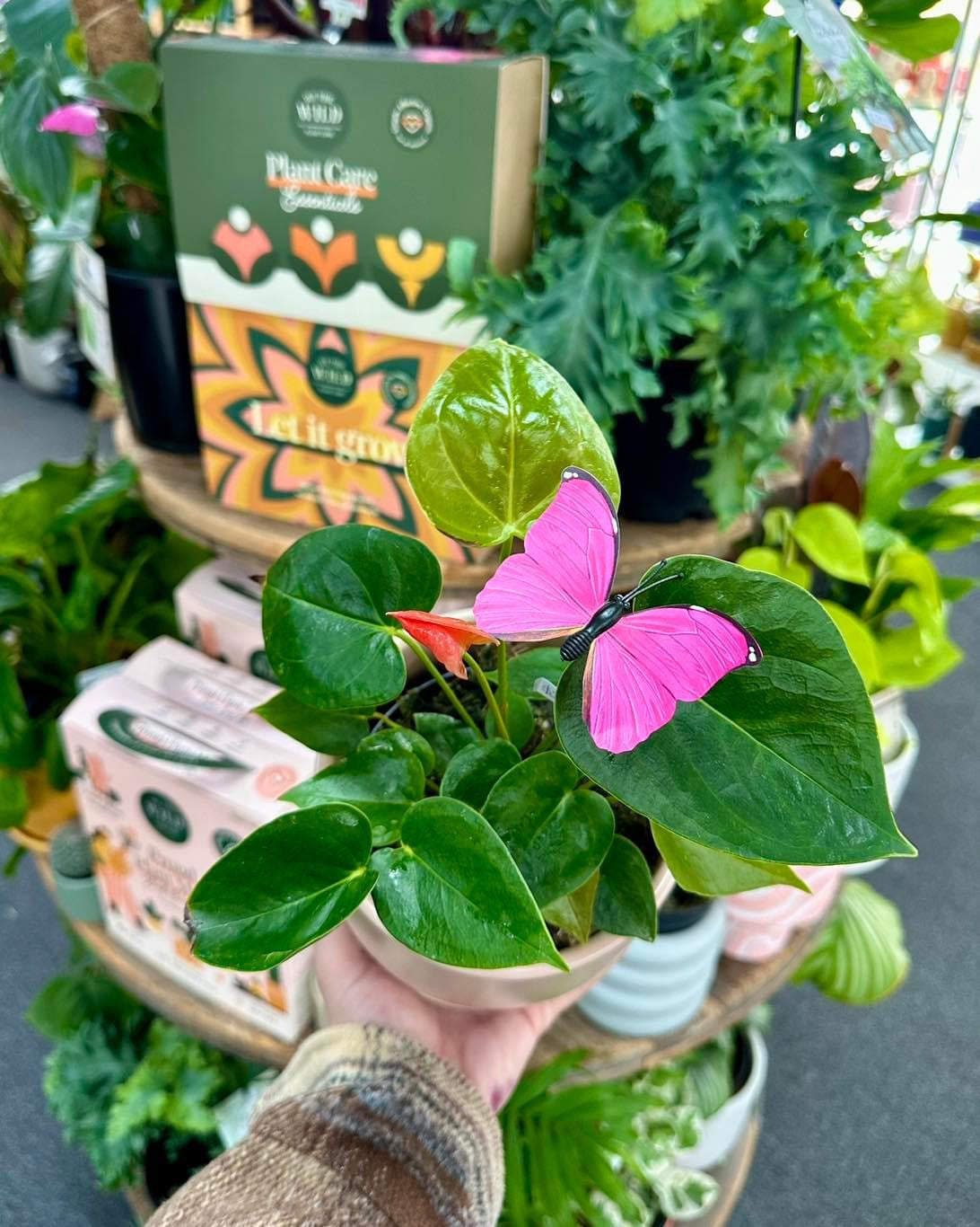 Butterfly Plant Stake