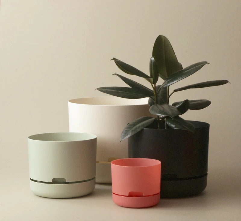 Mr Kitly Self Watering Pots 170mm