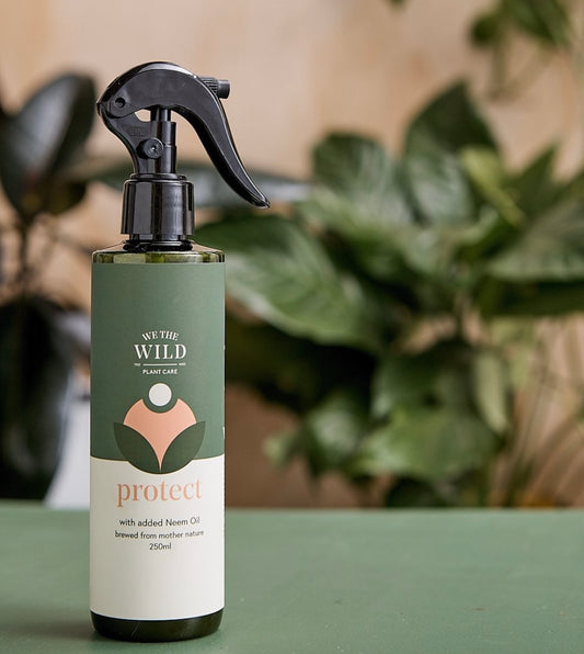 We the wild - Protect Spray