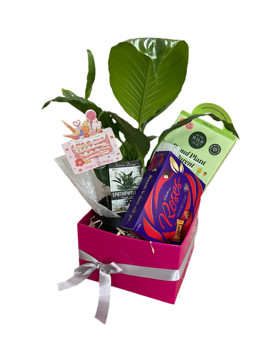 Plant delights hamper