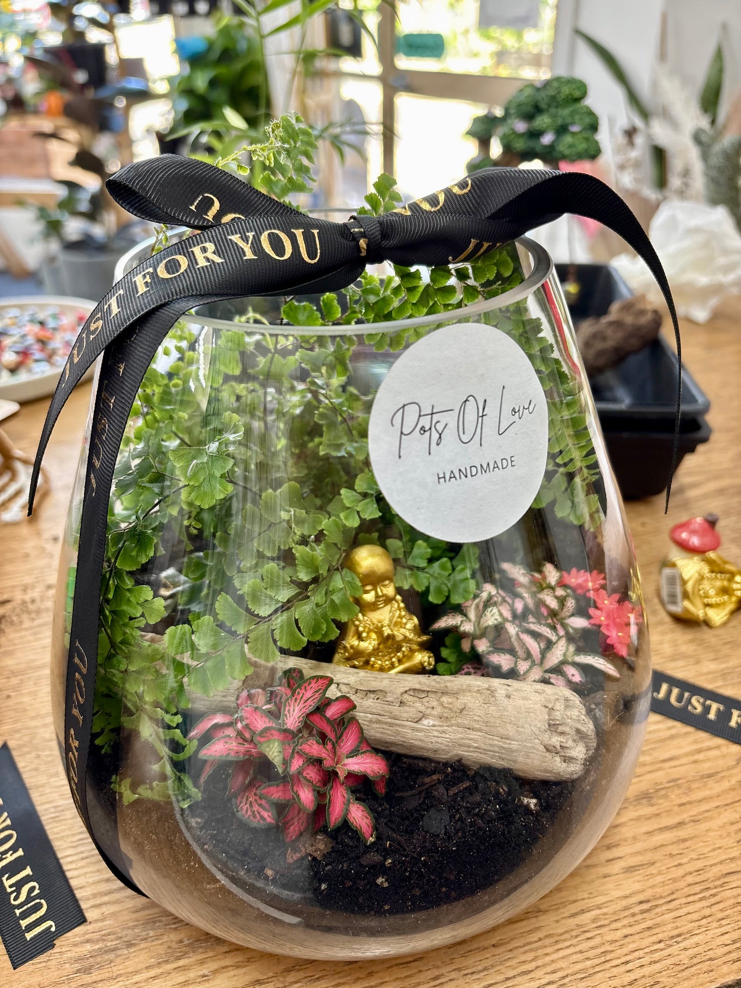 Buddha Terrarium