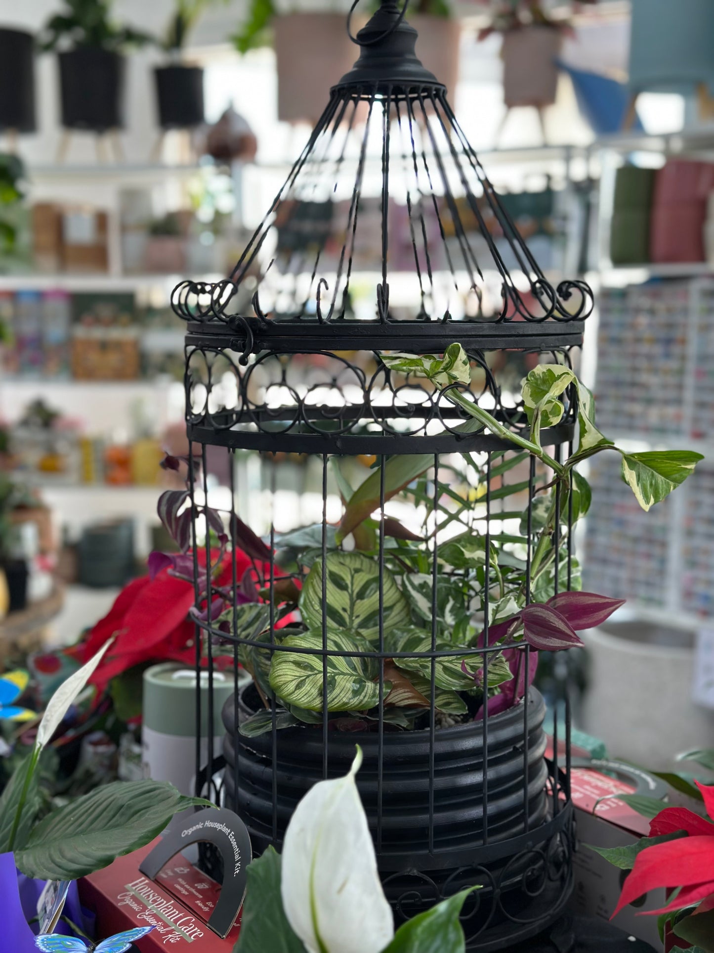 Birdcage Planter Arrangement