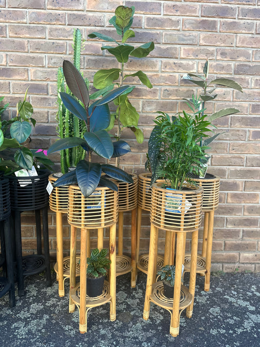 Tall island Wood Planter Stand