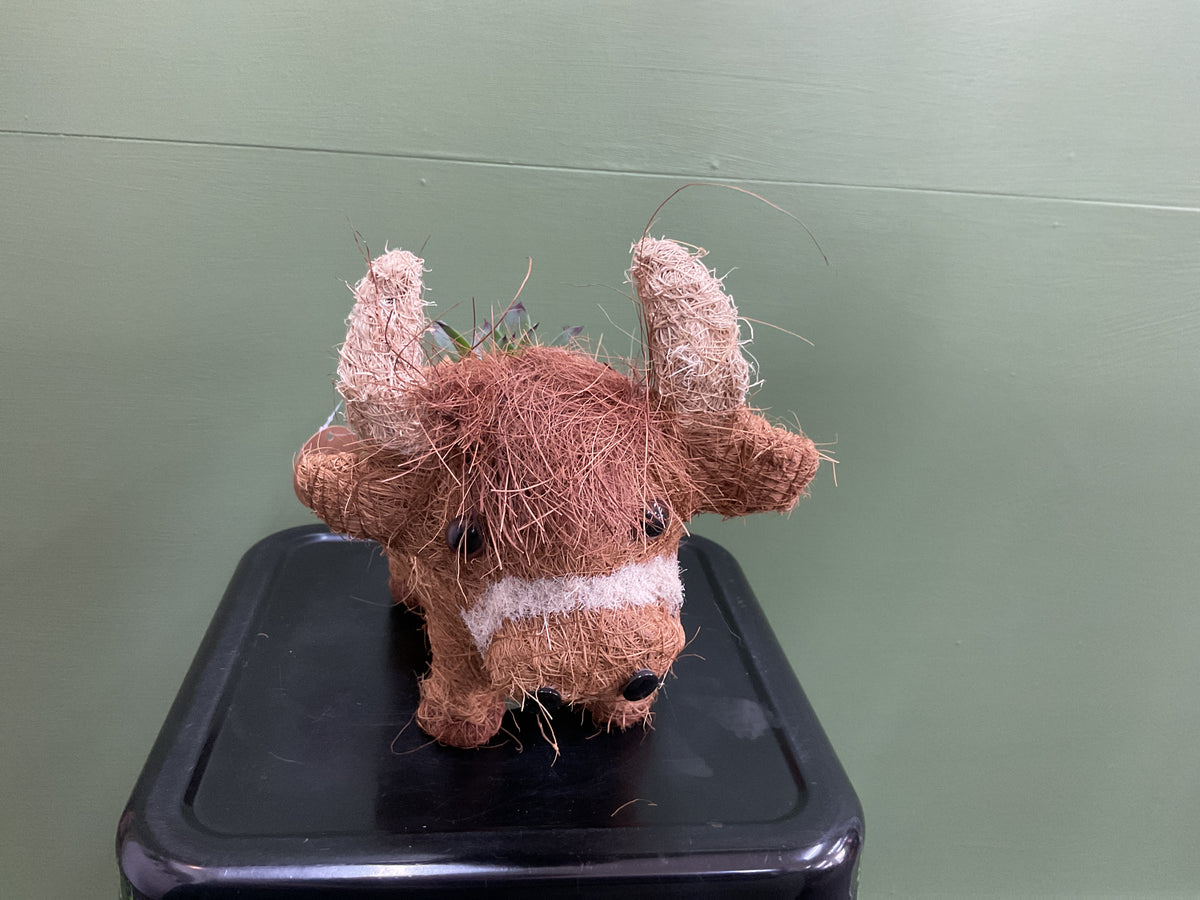 Husk Highland Cow Planter Small