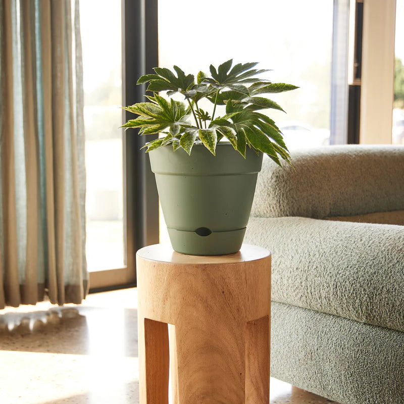 Self Watering Planter- 250mm x 230mm