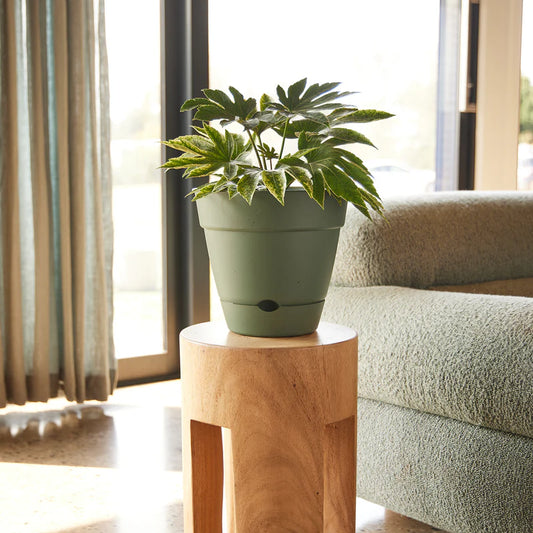 Self Watering Planter- 250mm x 230mm