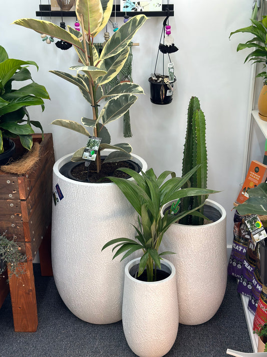 White - Slate Pot