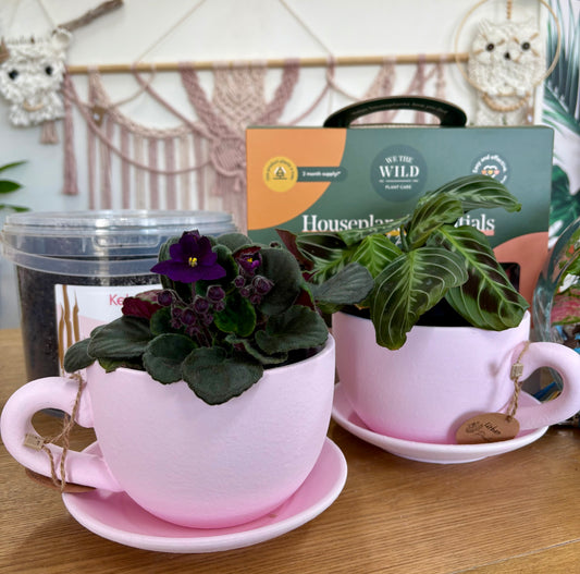 Pink Teapot & Saucer Planter