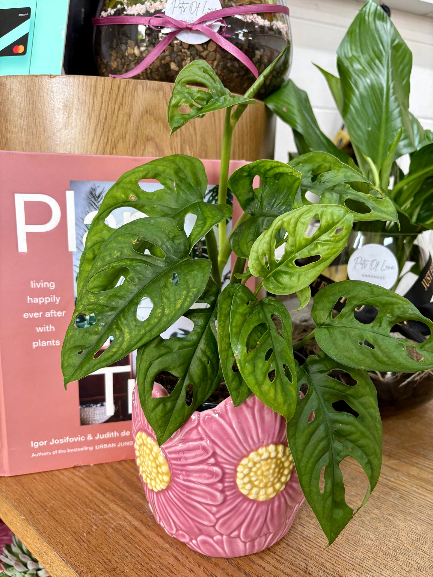 Pink Flower Planter 13cm