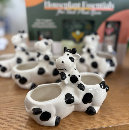 Mini Double Cow planter