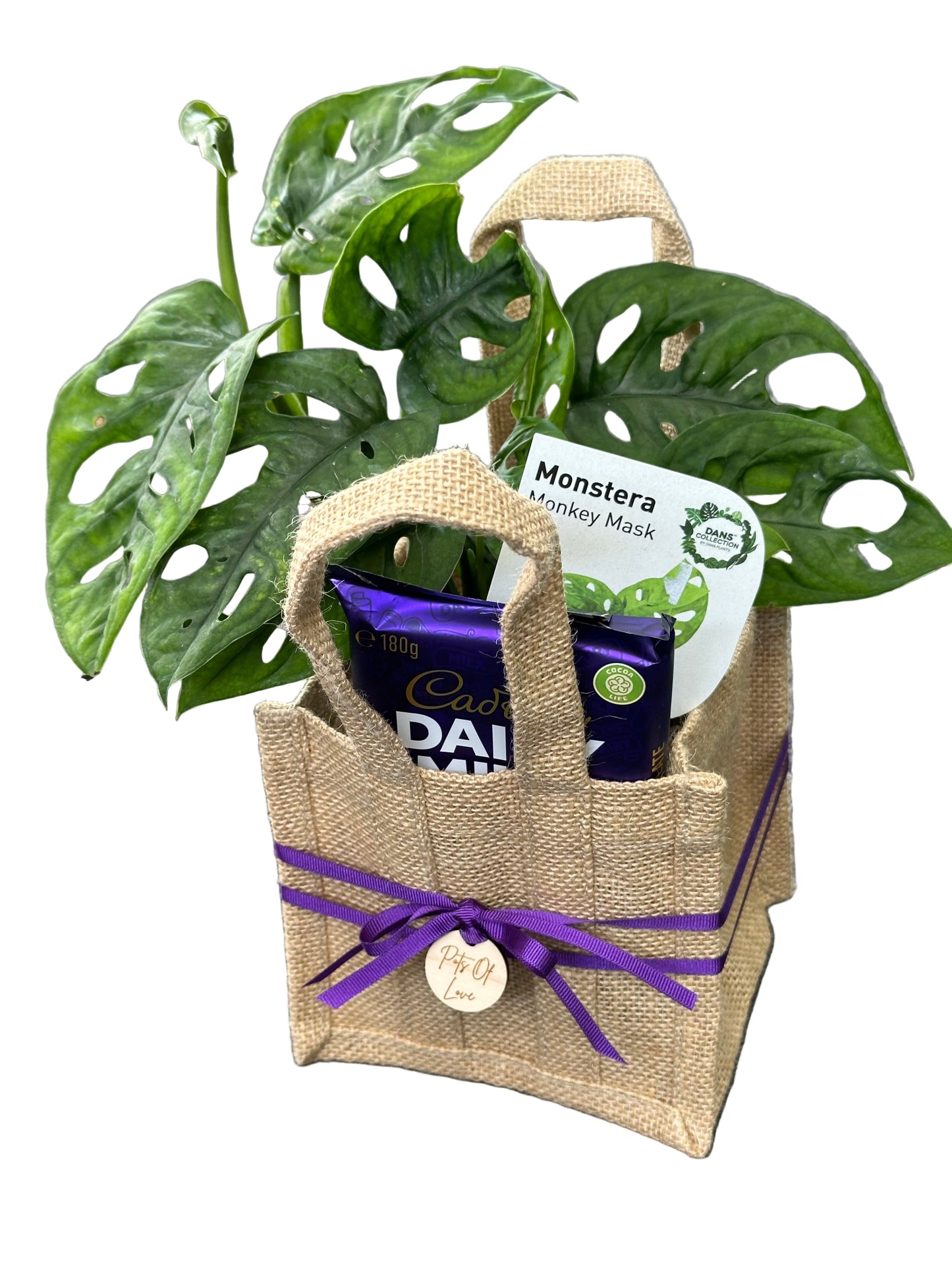 Plant + Choc - Mini Hessian Bag Hamper