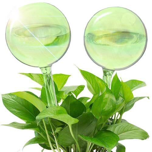 We The Wild - Plant Watering Globe
