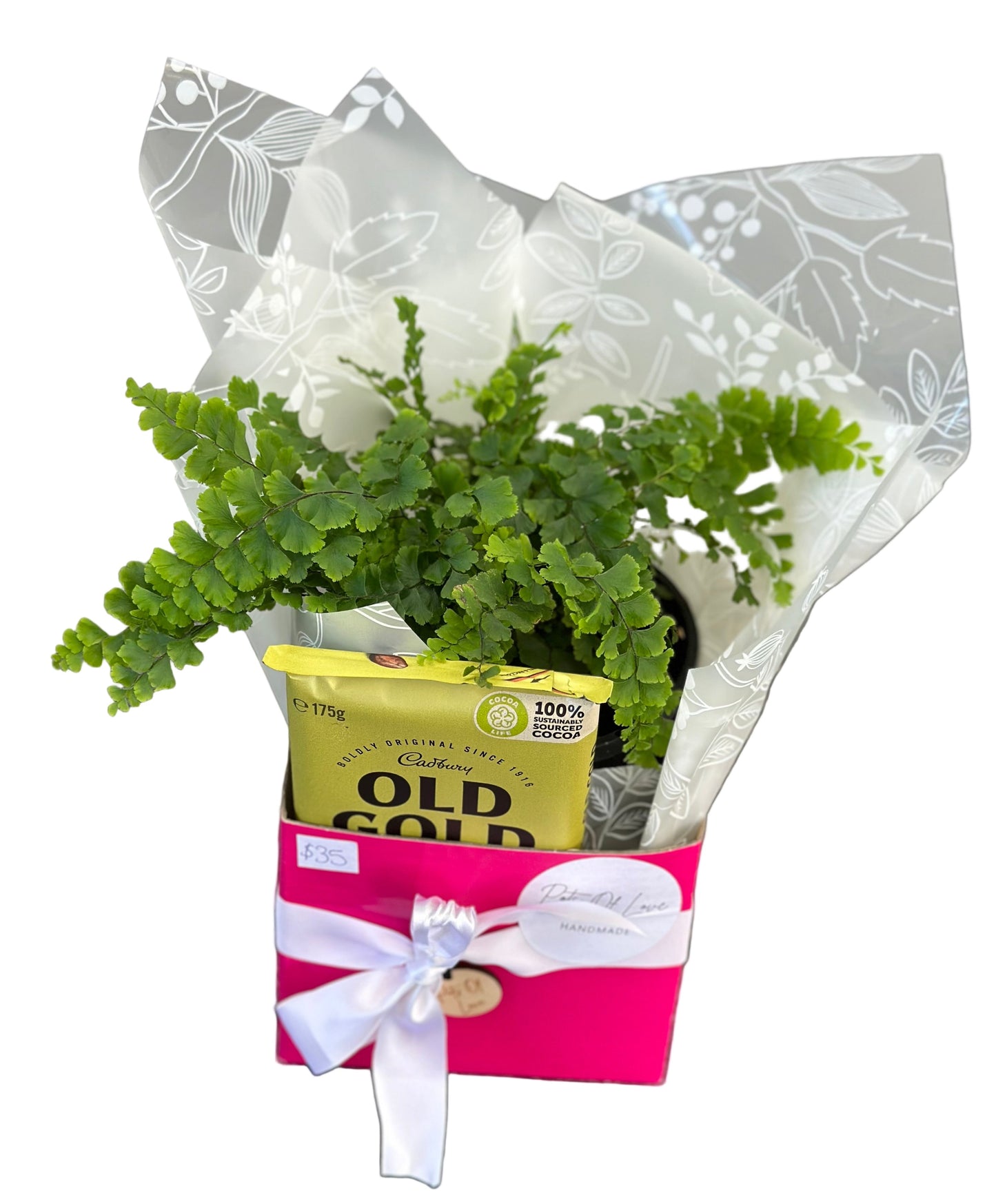 Plant - Chocolate Mini Hamper