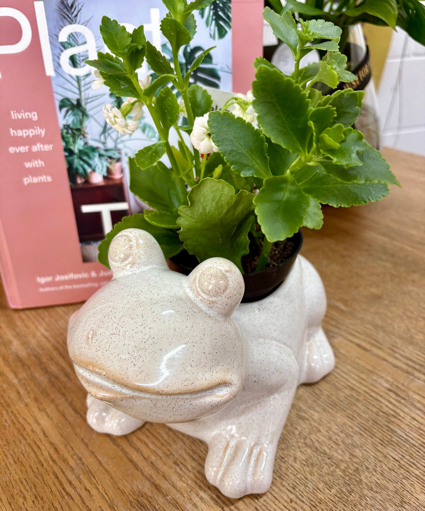 Frog Planter